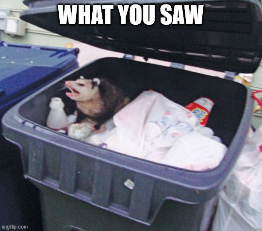 Trash Possum | WHAT YOU SAW | image tagged in trash possum | made w/ Imgflip meme maker