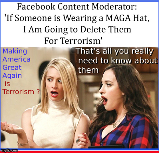 MAGA is Terrorism | image tagged in maga,2 broke girls,babes,lol,funny memes,politics lol | made w/ Imgflip meme maker