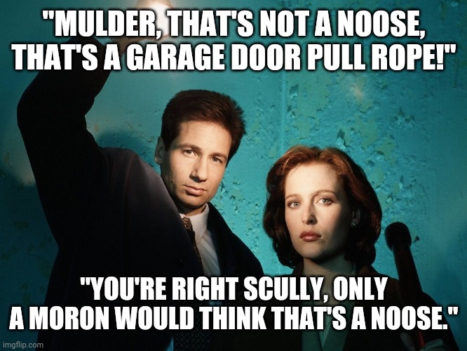 Even Fox Mulder agrees... That's no noose! | "MULDER, THAT'S NOT A NOOSE, THAT'S A GARAGE DOOR PULL ROPE!" "YOU'RE RIGHT SCULLY, ONLY A MORON WOULD THINK THAT'S A NOOSE." | image tagged in x files,fox mulder the x files,scully,noose,not racist | made w/ Imgflip meme maker