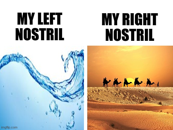 Left vs right nostril | MY RIGHT NOSTRIL; MY LEFT NOSTRIL | image tagged in blank white template | made w/ Imgflip meme maker