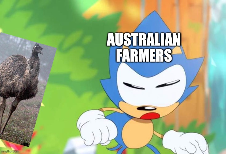 Let's not ask about November 2, 1932 | AUSTRALIAN FARMERS | image tagged in memes,emu,sonic the hedgehog,sonic meme,australia | made w/ Imgflip meme maker