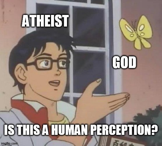 hah god am i right | ATHEIST; GOD; IS THIS A HUMAN PERCEPTION? | image tagged in god,is this a pigeon,atheists,cristian | made w/ Imgflip meme maker
