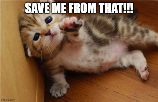 Help Me Kitten | SAVE ME FROM THAT!!! | image tagged in help me kitten | made w/ Imgflip meme maker