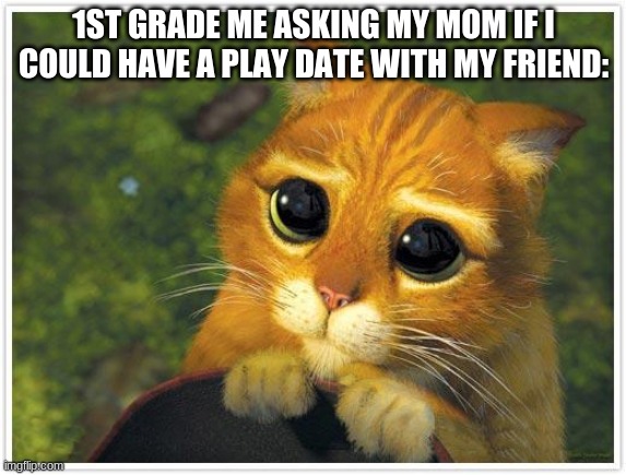 shrek cat |  1ST GRADE ME ASKING MY MOM IF I COULD HAVE A PLAY DATE WITH MY FRIEND: | image tagged in memes,shrek cat | made w/ Imgflip meme maker
