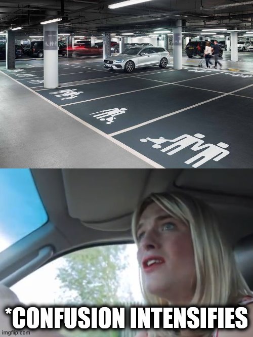 What da...? | *CONFUSION INTENSIFIES | image tagged in memes,politically correct,parking spaces,confusion intensifies | made w/ Imgflip meme maker