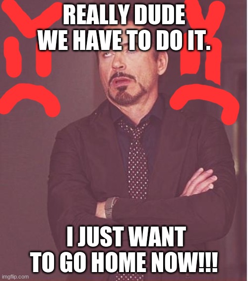 Robert not happy | REALLY DUDE WE HAVE TO DO IT. I JUST WANT TO GO HOME NOW!!! | image tagged in memes,face you make robert downey jr | made w/ Imgflip meme maker