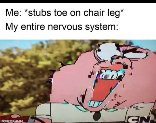 Hurts like heck | image tagged in pain | made w/ Imgflip meme maker