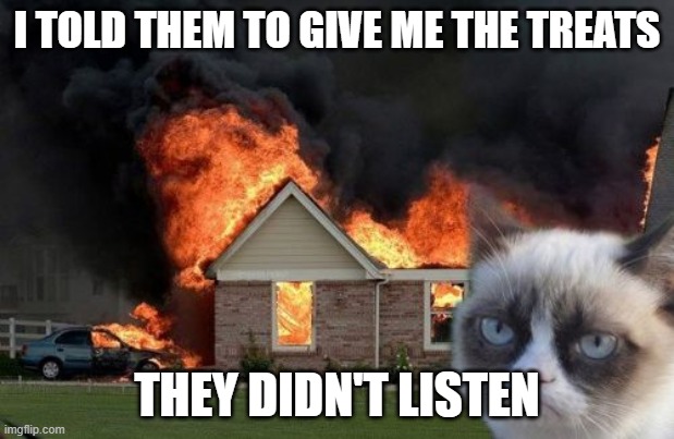 Burn Kitty Meme | I TOLD THEM TO GIVE ME THE TREATS; THEY DIDN'T LISTEN | image tagged in memes,burn kitty,grumpy cat | made w/ Imgflip meme maker