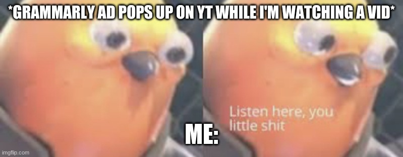 anything but a grammarly ad | *GRAMMARLY AD POPS UP ON YT WHILE I'M WATCHING A VID*; ME: | image tagged in listen here you little shit bird | made w/ Imgflip meme maker