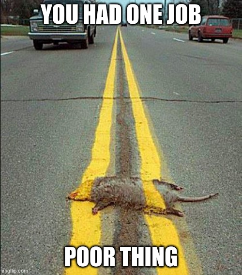 YOU HAD ONE JOB; POOR THING | made w/ Imgflip meme maker