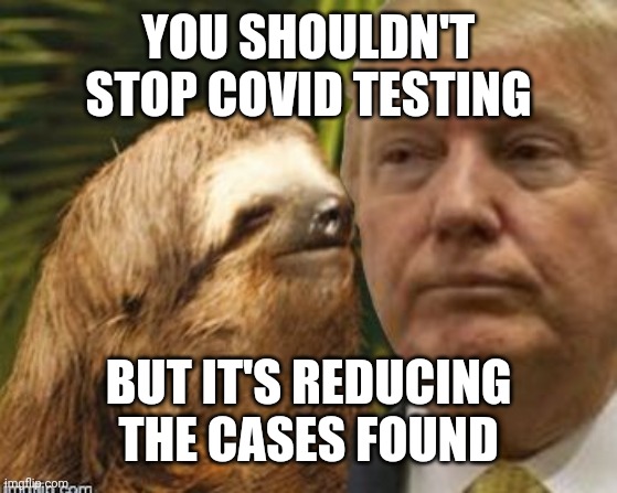 Political advice sloth | YOU SHOULDN'T STOP COVID TESTING; BUT IT'S REDUCING THE CASES FOUND | image tagged in political advice sloth | made w/ Imgflip meme maker