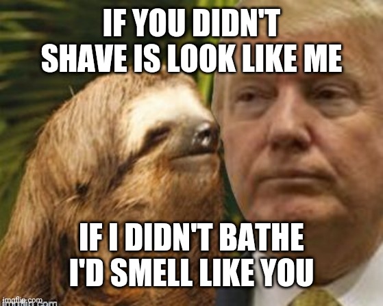 Political advice sloth | IF YOU DIDN'T SHAVE IS LOOK LIKE ME; IF I DIDN'T BATHE I'D SMELL LIKE YOU | image tagged in political advice sloth | made w/ Imgflip meme maker