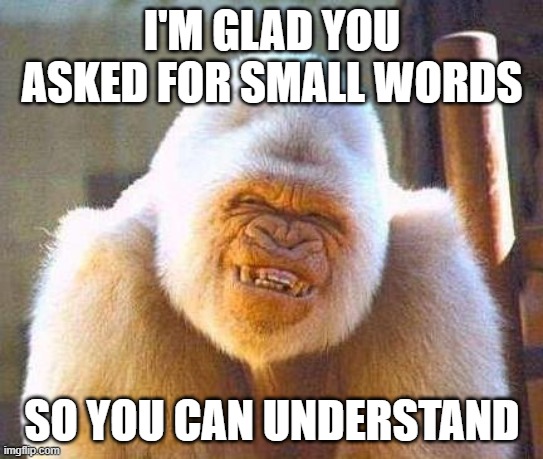 whit gorrila smile | I'M GLAD YOU ASKED FOR SMALL WORDS SO YOU CAN UNDERSTAND | image tagged in whit gorrila smile | made w/ Imgflip meme maker