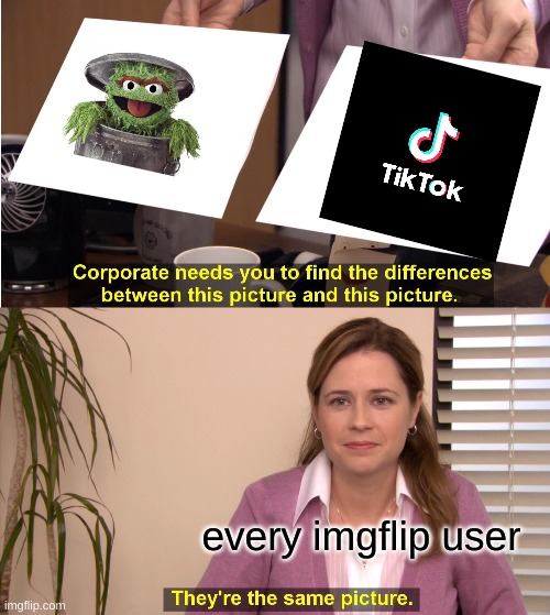 They're The Same Picture Meme | every imgflip user | image tagged in memes,they're the same picture | made w/ Imgflip meme maker