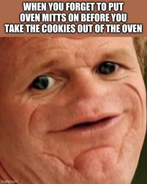 Sad but true | WHEN YOU FORGET TO PUT OVEN MITTS ON BEFORE YOU TAKE THE COOKIES OUT OF THE OVEN | image tagged in sosig | made w/ Imgflip meme maker