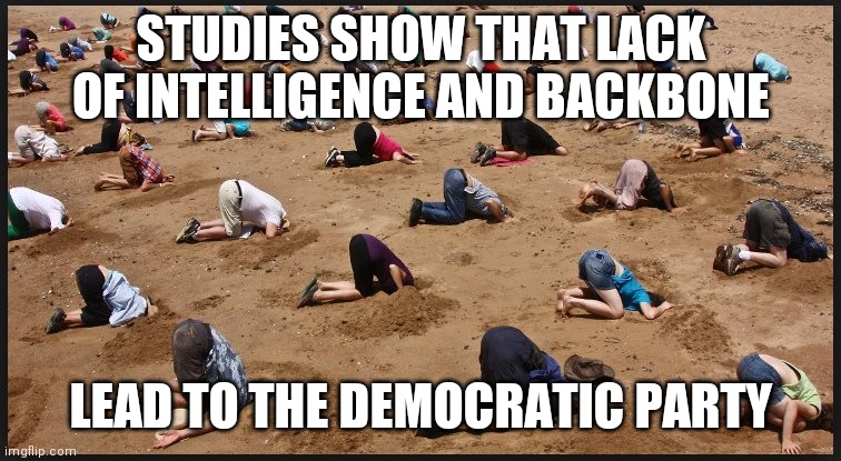 DEMOCRATIC RALLY | STUDIES SHOW THAT LACK OF INTELLIGENCE AND BACKBONE; LEAD TO THE DEMOCRATIC PARTY | image tagged in democratic rally | made w/ Imgflip meme maker