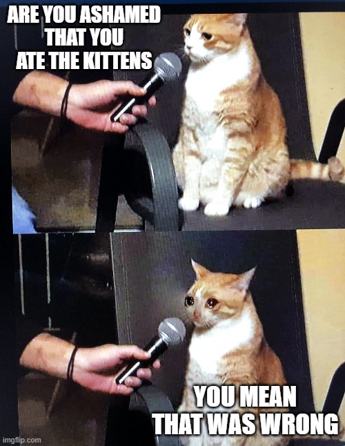 Are You Ashamed? | ARE YOU ASHAMED
THAT YOU ATE THE KITTENS; YOU MEAN THAT WAS WRONG | image tagged in cat interview crying,cats,memes,so true memes,funny | made w/ Imgflip meme maker
