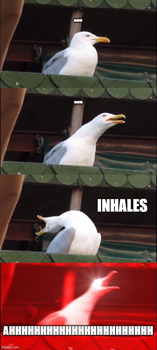Inhaling Seagull | ... ... INHALES; AHHHHHHHHHHHHHHHHHHHHHHH | image tagged in memes,inhaling seagull | made w/ Imgflip meme maker