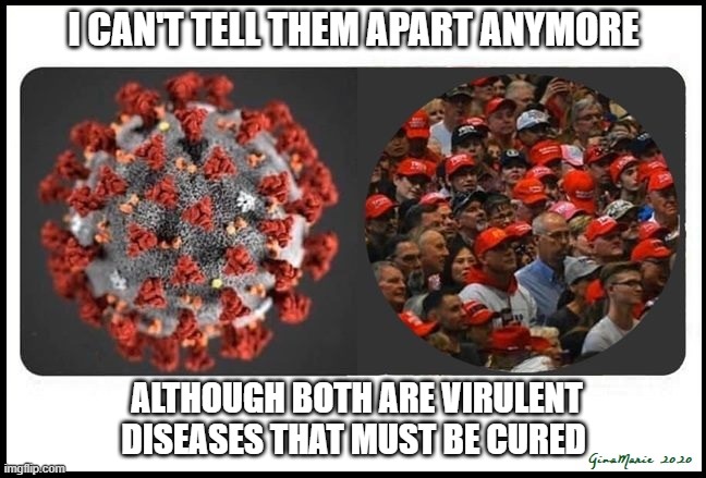 COVID-19 vs CULT45 | I CAN'T TELL THEM APART ANYMORE; ALTHOUGH BOTH ARE VIRULENT DISEASES THAT MUST BE CURED | image tagged in covid-19,trump,cult 45 | made w/ Imgflip meme maker