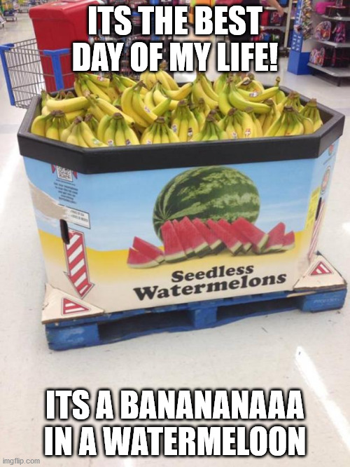 YOU HAD ONE JOB | ITS THE BEST DAY OF MY LIFE! ITS A BANANANAAA IN A WATERMELOON | image tagged in you had one job | made w/ Imgflip meme maker