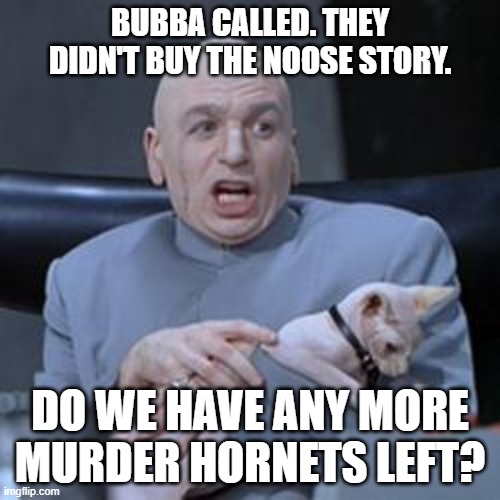 Bubba called. | BUBBA CALLED. THEY DIDN'T BUY THE NOOSE STORY. DO WE HAVE ANY MORE MURDER HORNETS LEFT? | image tagged in dr evil,bubba,nascar,noose | made w/ Imgflip meme maker