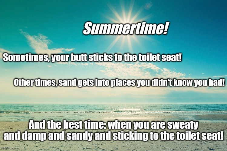 Summertime! | Summertime! Sometimes, your butt sticks to the toilet seat! Other times, sand gets into places you didn't know you had! And the best time: when you are sweaty and damp and sandy and sticking to the toilet seat! | image tagged in summer-beach | made w/ Imgflip meme maker