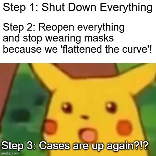 Surprised Pikachu Meme | Step 1: Shut Down Everything; Step 2: Reopen everything and stop wearing masks because we 'flattened the curve'! Step 3: Cases are up again?!? | image tagged in memes,surprised pikachu,memes | made w/ Imgflip meme maker