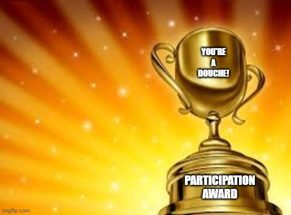 Award | YOU'RE A DOUCHE! PARTICIPATION AWARD | image tagged in award | made w/ Imgflip meme maker