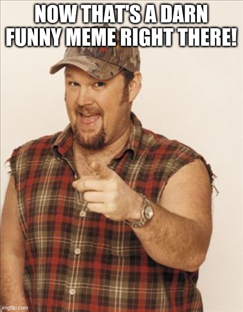 Larry The Cable Guy | NOW THAT'S A DARN FUNNY MEME RIGHT THERE! | image tagged in larry the cable guy | made w/ Imgflip meme maker
