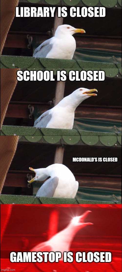 oh nui stuff is closed | LIBRARY IS CLOSED; SCHOOL IS CLOSED; MCDONALD'S IS CLOSED; GAMESTOP IS CLOSED | image tagged in memes,inhaling seagull | made w/ Imgflip meme maker