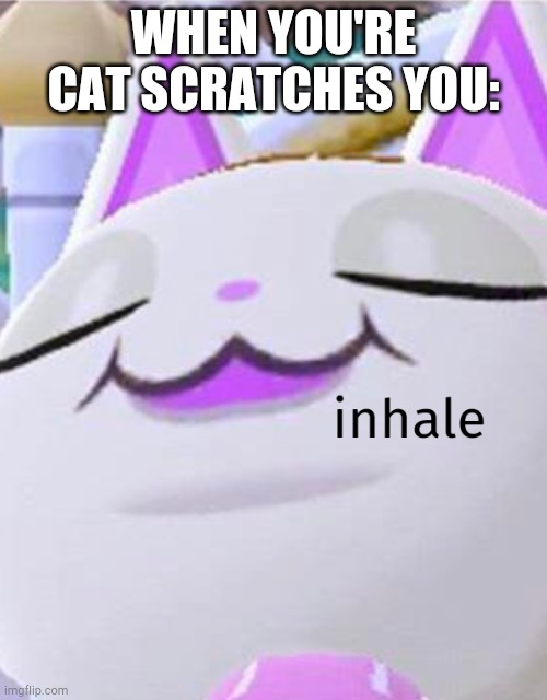 o my | WHEN YOU'RE CAT SCRATCHES YOU: | image tagged in spongebob inhale boi | made w/ Imgflip meme maker