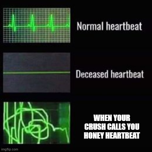 heartbeat rate | WHEN YOUR CRUSH CALLS YOU HONEY HEARTBEAT | image tagged in heartbeat rate | made w/ Imgflip meme maker