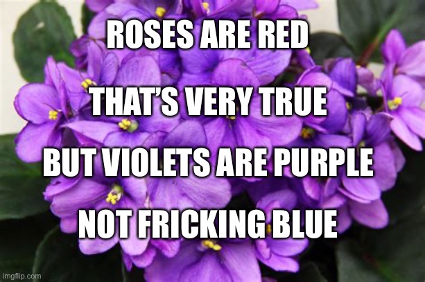 They’re called ‘violets’ for goodness sake |  ROSES ARE RED; THAT’S VERY TRUE; BUT VIOLETS ARE PURPLE; NOT FRICKING BLUE | image tagged in roses,violets,roses are red violets are are blue,exposed,the truth,true coulor | made w/ Imgflip meme maker