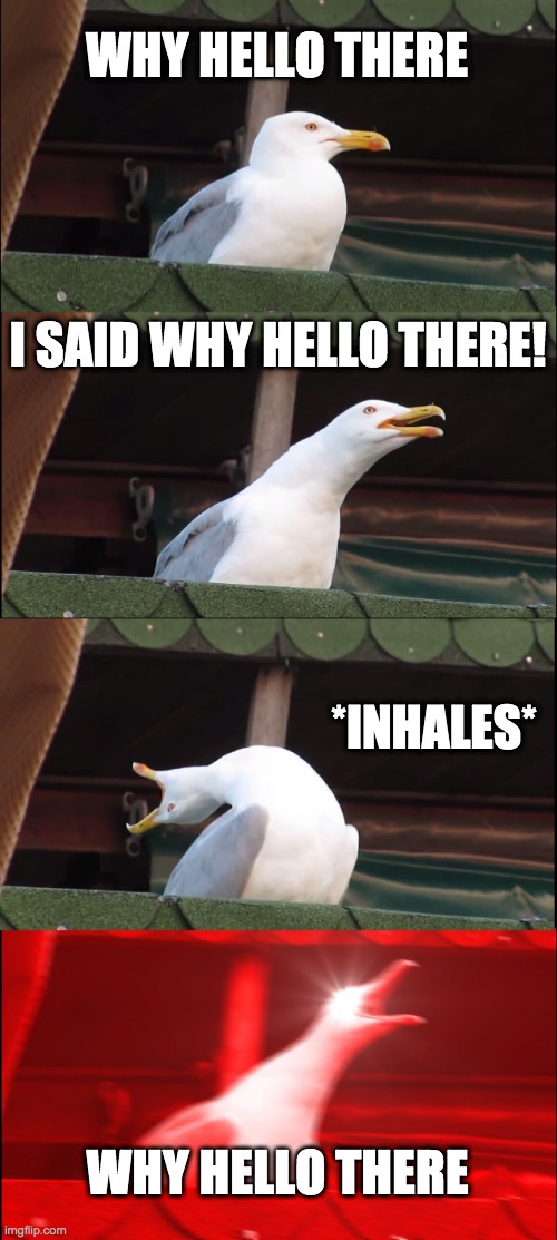 a meme | WHY HELLO THERE; I SAID WHY HELLO THERE! *INHALES*; WHY HELLO THERE | image tagged in memes,inhaling seagull | made w/ Imgflip meme maker