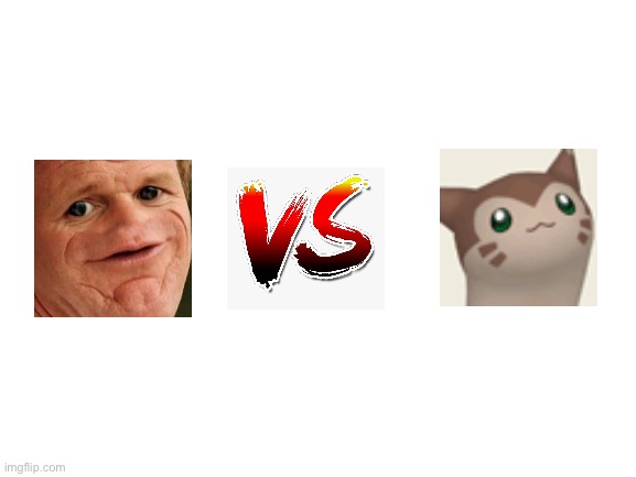 who will win? find out in the next episode of dragonball z! | image tagged in furret,sosig | made w/ Imgflip meme maker