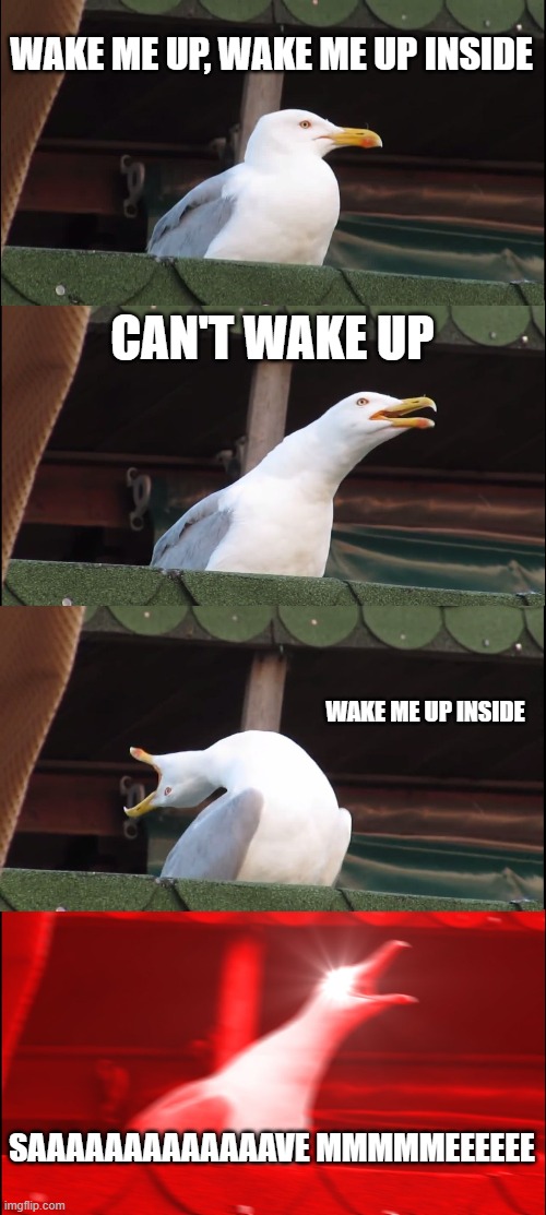 Inhaling Seagull Meme | WAKE ME UP, WAKE ME UP INSIDE; CAN'T WAKE UP; WAKE ME UP INSIDE; SAAAAAAAAAAAAAVE MMMMMEEEEEE | image tagged in memes,inhaling seagull | made w/ Imgflip meme maker