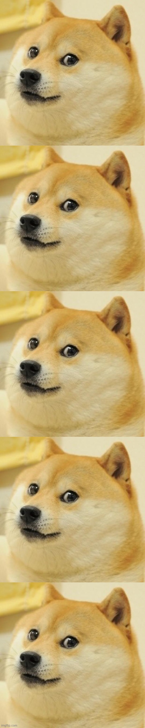 image tagged in memes,doge | made w/ Imgflip meme maker