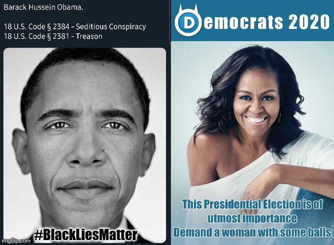 Female VP? Yo Joe- It's about time to Go! #BlackLiesMatter | #BlackLiesMatter | image tagged in obama treason,michelle obama,blm,potus,dnc,the great awakening | made w/ Imgflip meme maker
