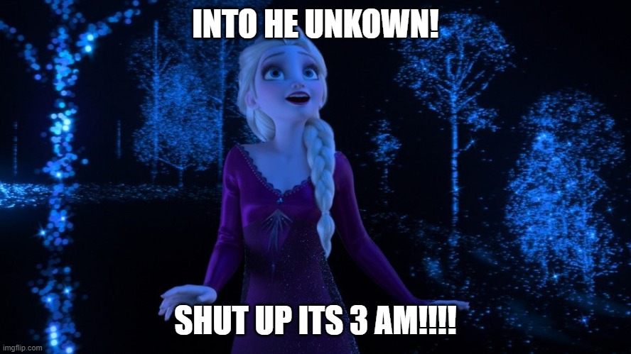 Into the Unknown | INTO HE UNKOWN! SHUT UP ITS 3 AM!!!! | image tagged in into the unknown | made w/ Imgflip meme maker