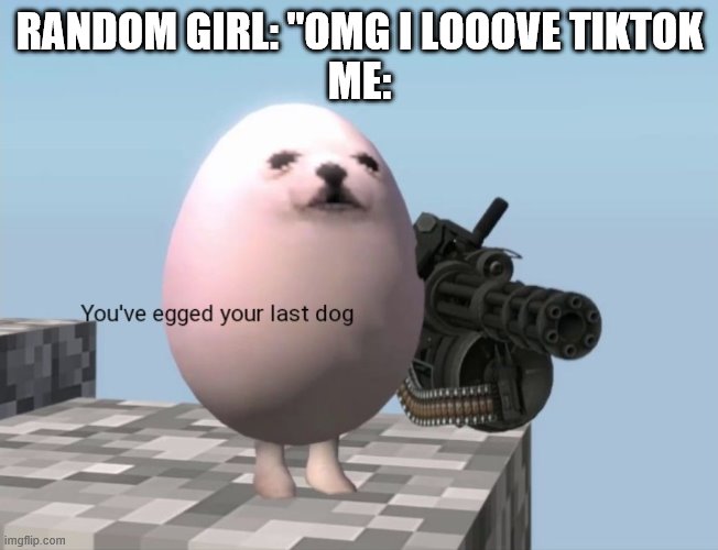Oh yes |  RANDOM GIRL: "OMG I LOOOVE TIKTOK
ME: | image tagged in you've egged your last dog | made w/ Imgflip meme maker