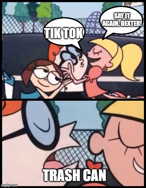 Literally everyone on imgflip be like | SAY IT AGAIN, DEXTER! TIK TOK; TRASH CAN | image tagged in memes,say it again dexter | made w/ Imgflip meme maker