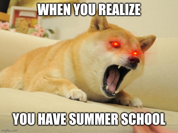I don't have to go to summer school, but others do. | WHEN YOU REALIZE; YOU HAVE SUMMER SCHOOL | image tagged in angry doge,summer | made w/ Imgflip meme maker