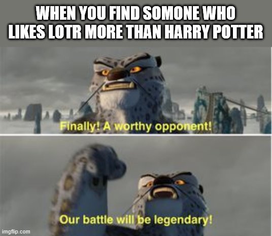 finnaly | WHEN YOU FIND SOMONE WHO LIKES LOTR MORE THAN HARRY POTTER | image tagged in finnaly | made w/ Imgflip meme maker
