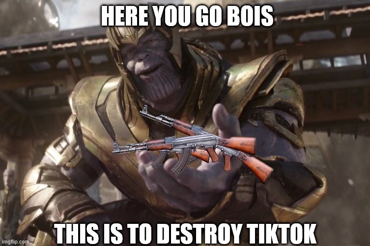 take them! | HERE YOU GO BOIS; THIS IS TO DESTROY TIKTOK | image tagged in here you go | made w/ Imgflip meme maker