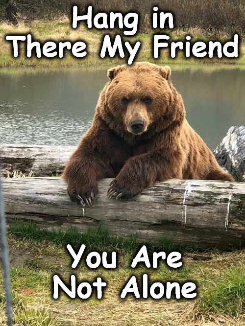 bear | Hang in There My Friend; You Are Not Alone | image tagged in bear | made w/ Imgflip meme maker