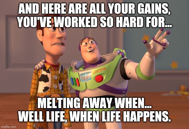 X, X Everywhere Meme | AND HERE ARE ALL YOUR GAINS, YOU'VE WORKED SO HARD FOR... MELTING AWAY WHEN... WELL LIFE, WHEN LIFE HAPPENS. | image tagged in memes,x x everywhere | made w/ Imgflip meme maker