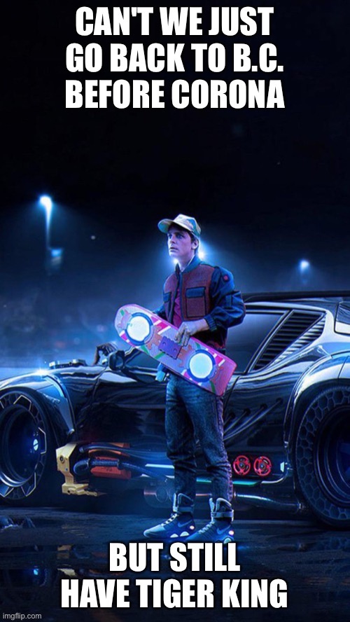 Can we go back | image tagged in tiger king,back to the future | made w/ Imgflip meme maker