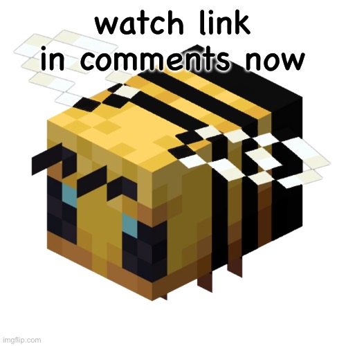 watch link in comments now | image tagged in dumb bee named buzzo | made w/ Imgflip meme maker