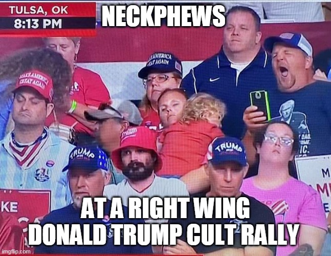 Trump supporters - Only the Best | NECKPHEWS; AT A RIGHT WING DONALD TRUMP CULT RALLY | image tagged in donald trump,trump supporters,republicans | made w/ Imgflip meme maker