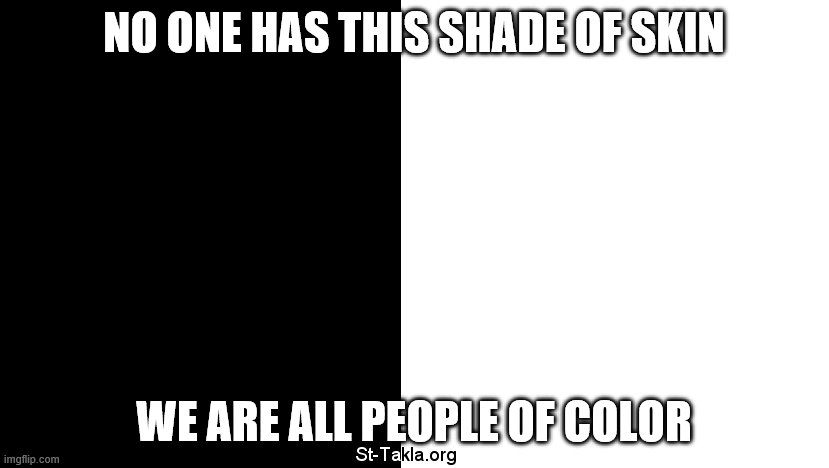 skin color | NO ONE HAS THIS SHADE OF SKIN; WE ARE ALL PEOPLE OF COLOR | image tagged in skin,black,white,race | made w/ Imgflip meme maker